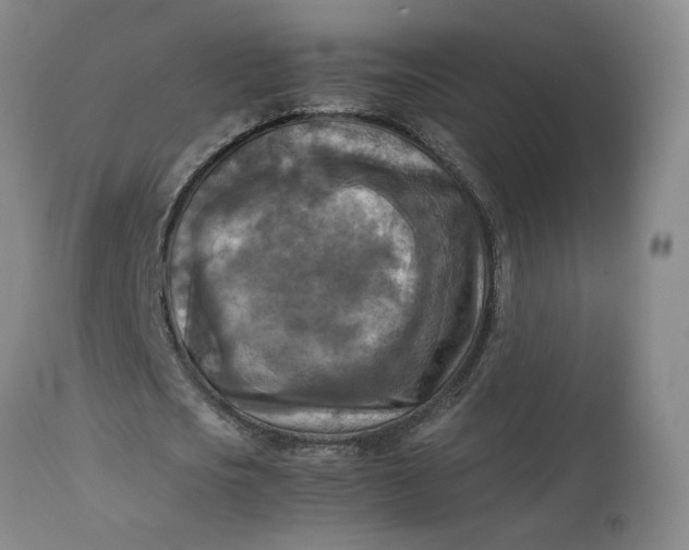 X0000113220721200910011344