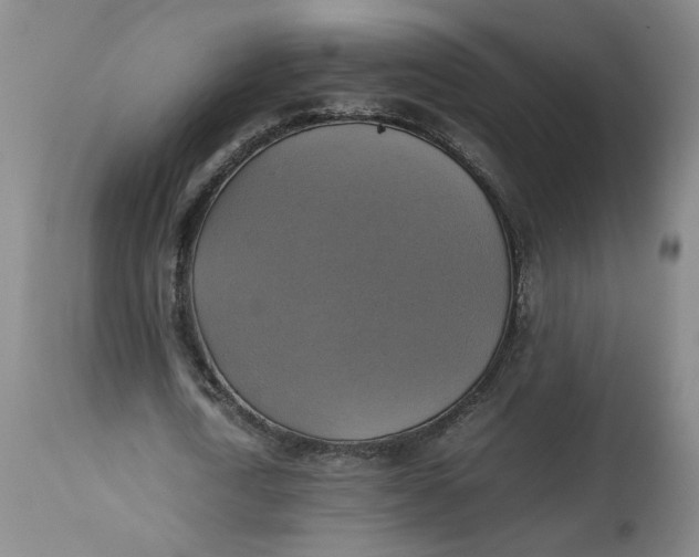 X0000113220722200910011344