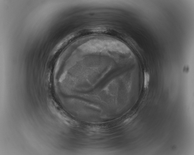 X0000113220723200910011344