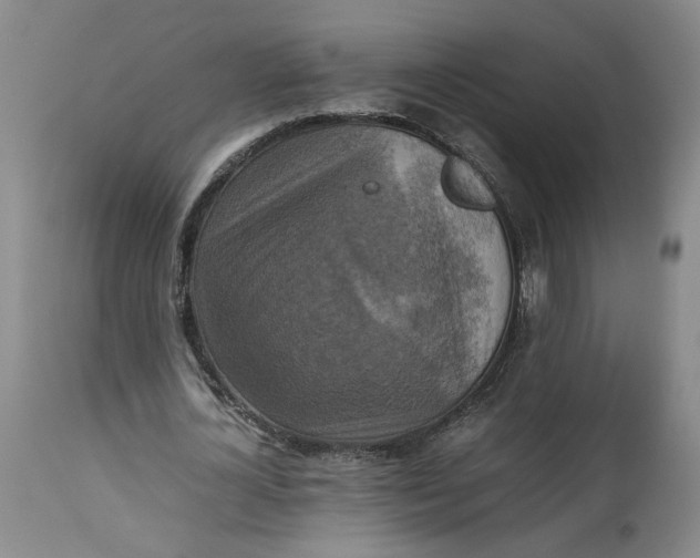 X0000113220724200910011344