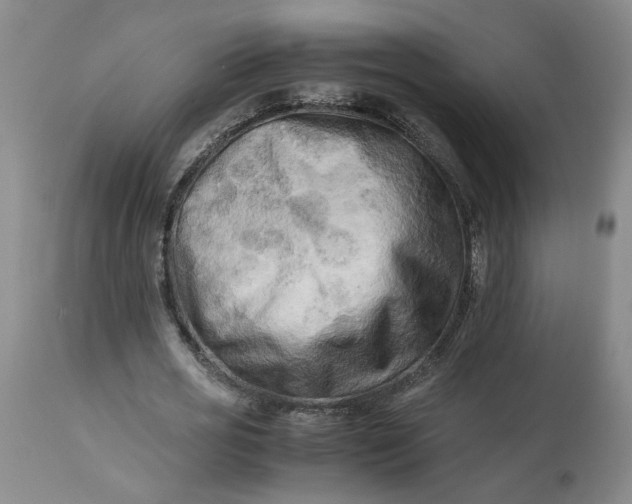 X0000113220725200910011344