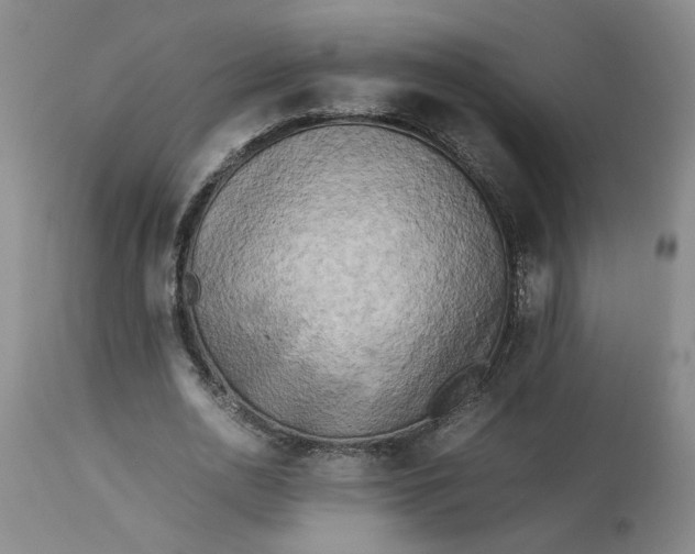 X0000113220726200910011344