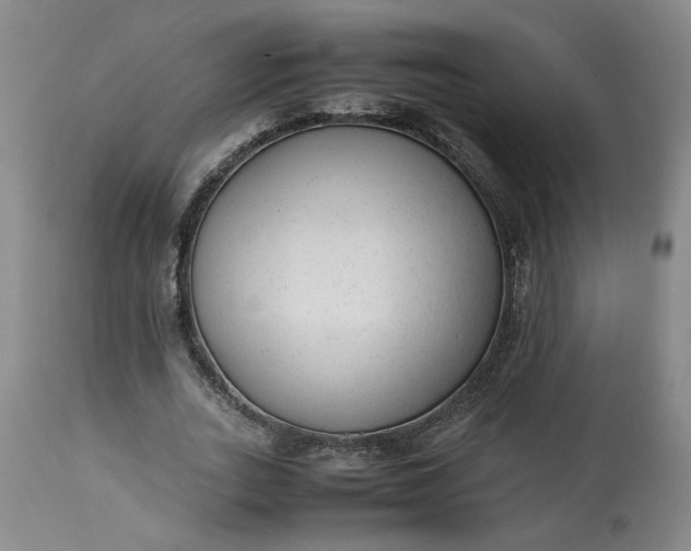 X0000113220727200910011344