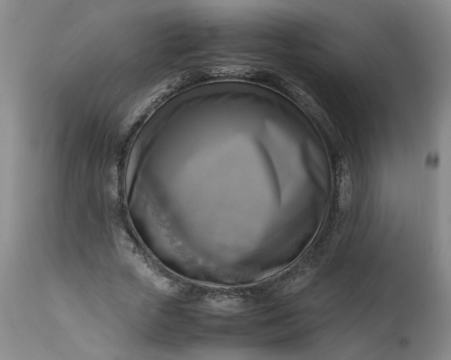 X0000113220729200910011344