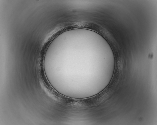 X0000113220730200910011344