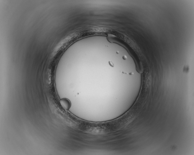 X0000113220731200910011344