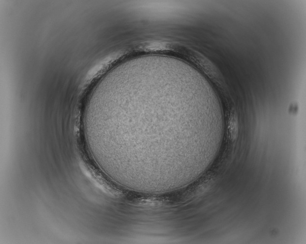 X0000113220732200910011344