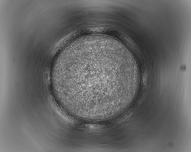 X0000113220733200910011344