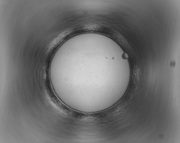 X0000113220734200910011344