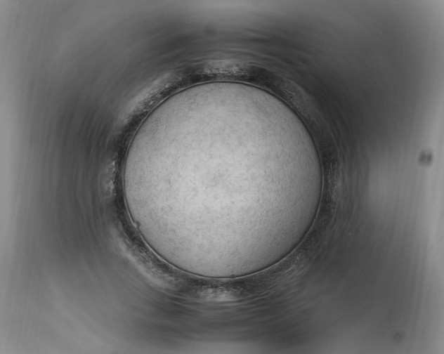 X0000113220735200910011344