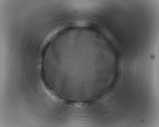 X0000113220736200910011344