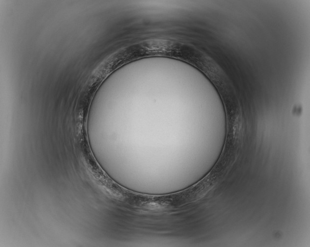 X0000113220737200910011344