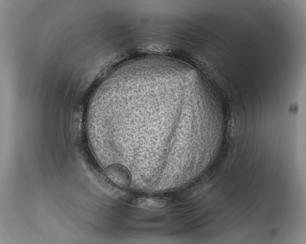 X0000113220739200910011344