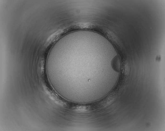 X0000113220740200910011344