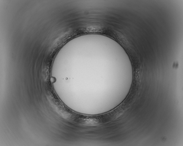 X0000113220741200910011345