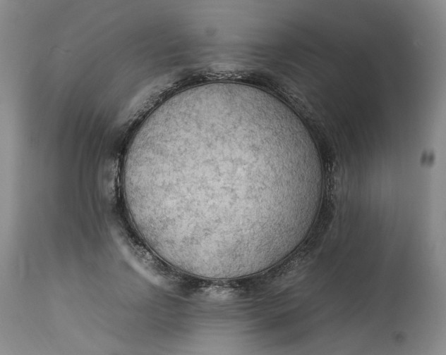 X0000113220742200910011345