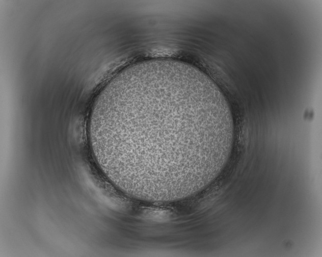 X0000113220743200910011345