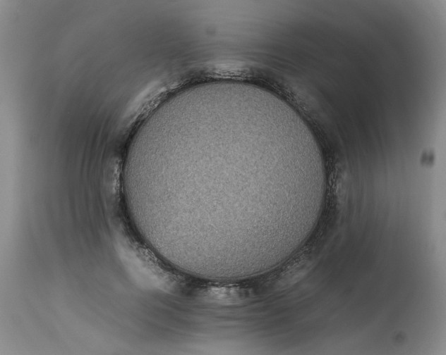 X0000113220744200910011345