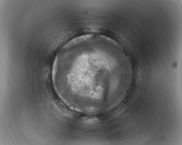 X0000113220747200910011345