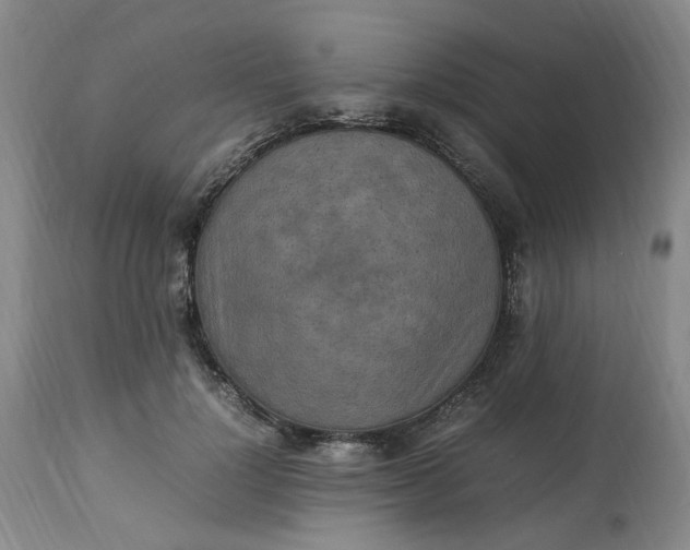 X0000113220748200910011345