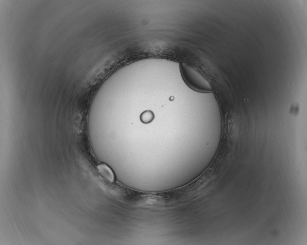 X0000113220750200910011345