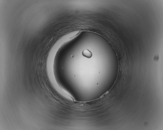 X0000113220752200910011345