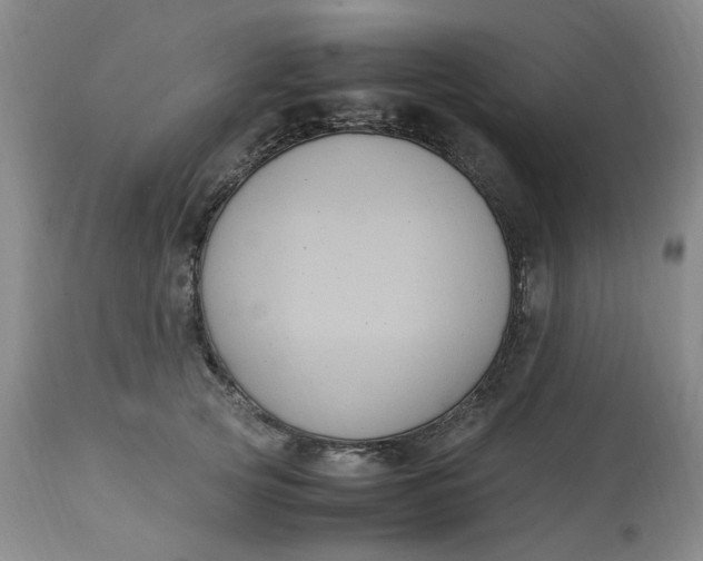 X0000113220753200910011345