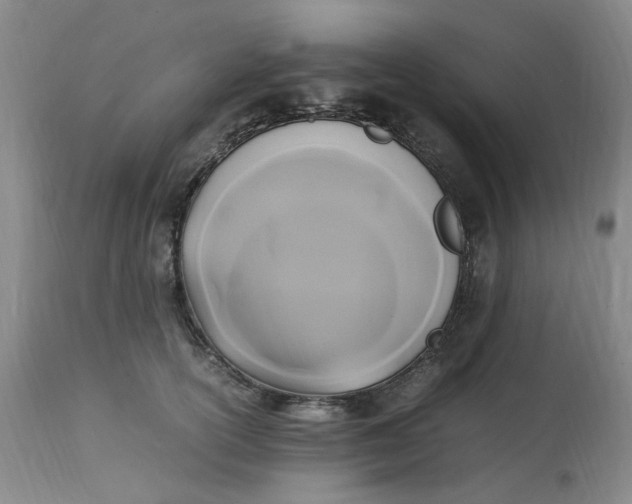 X0000113220754200910011345