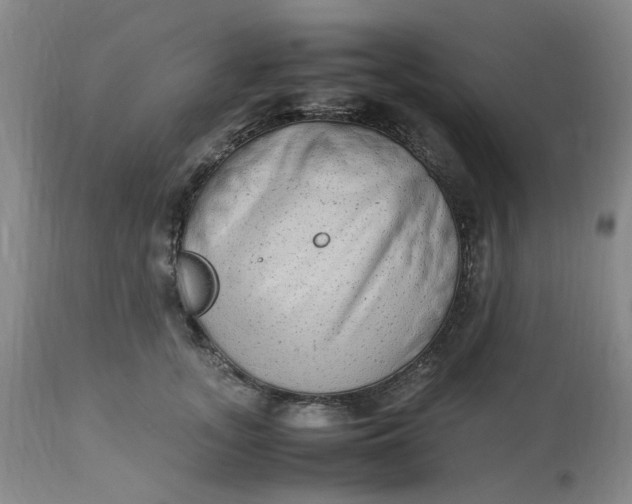 X0000113220755200910011345