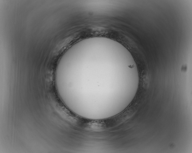 X0000113220756200910011345