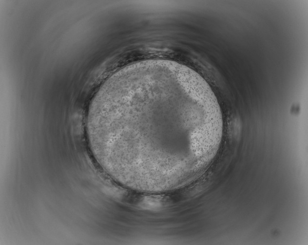 X0000113220757200910011345