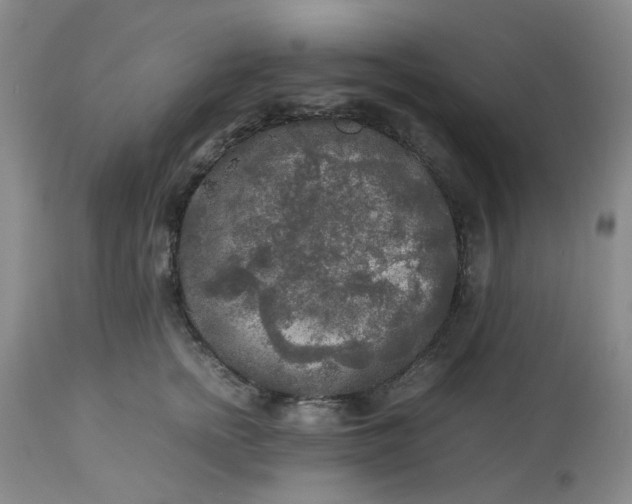 X0000113220758200910011345