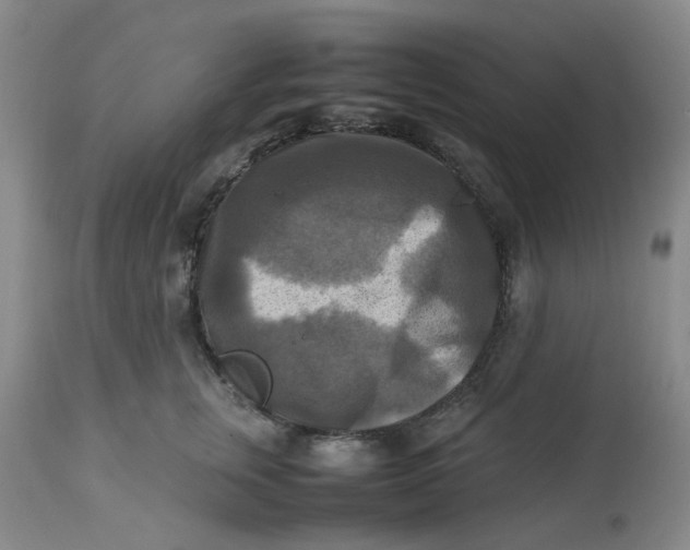 X0000113220759200910011345