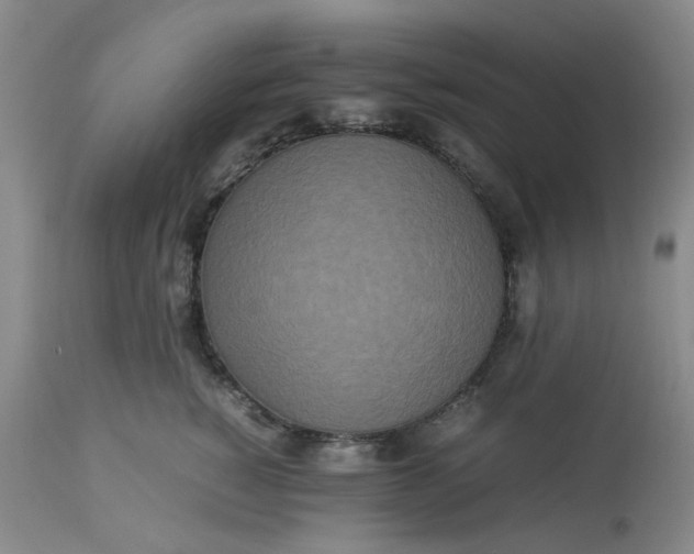 X0000113220760200910011345