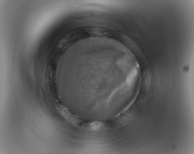 X0000113220762200910011345