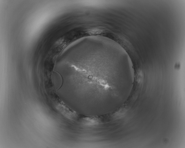 X0000113220763200910011345