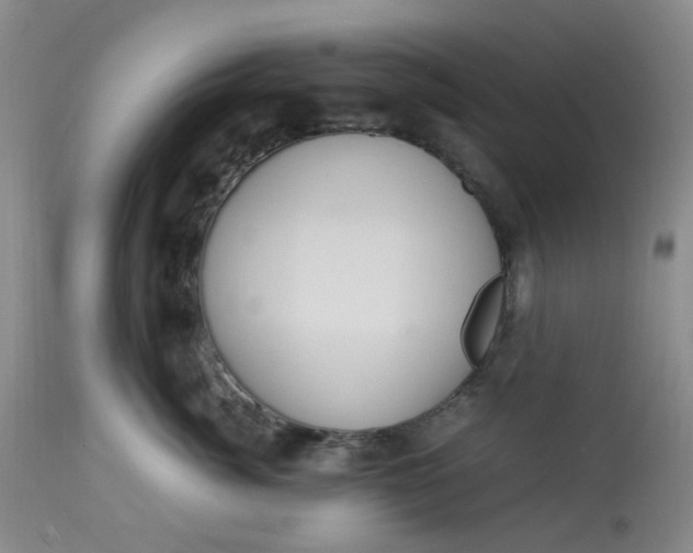 X0000113220764200910011345