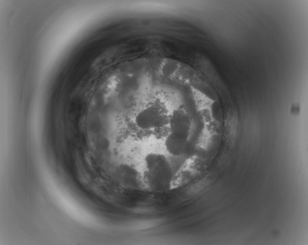 X0000113220765200910011345