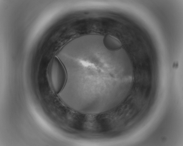 X0000113220766200910011345