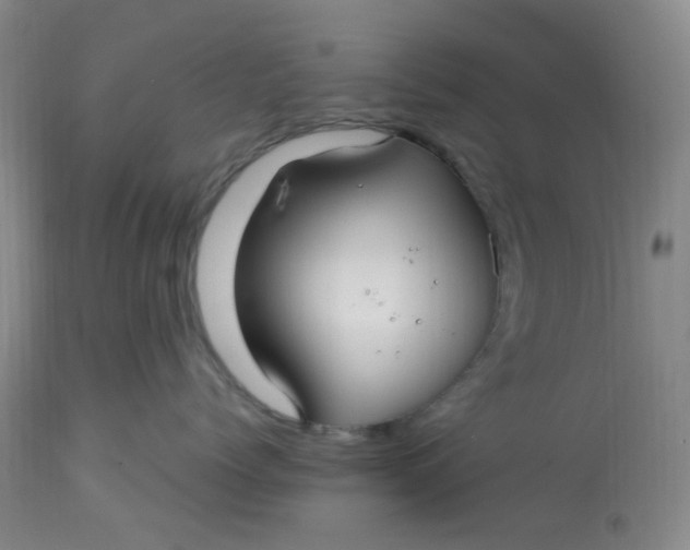 X0000113220768200910011345