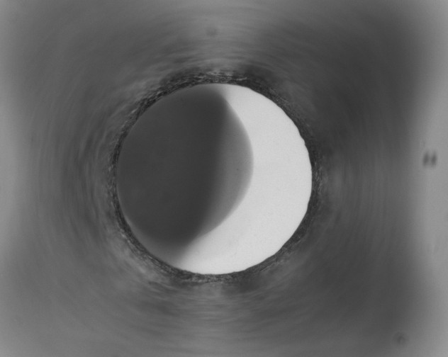 X0000113220769200910011344