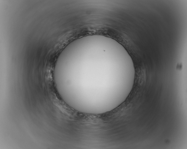 X0000113220770200910011344