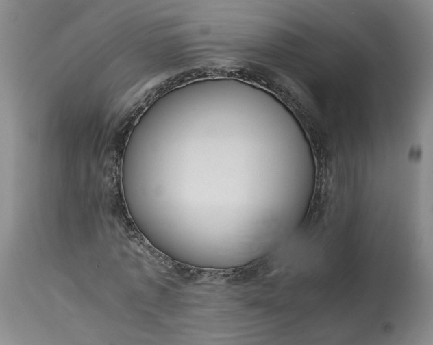 X0000113220773200910011344