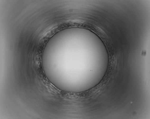 X0000113220774200910011344