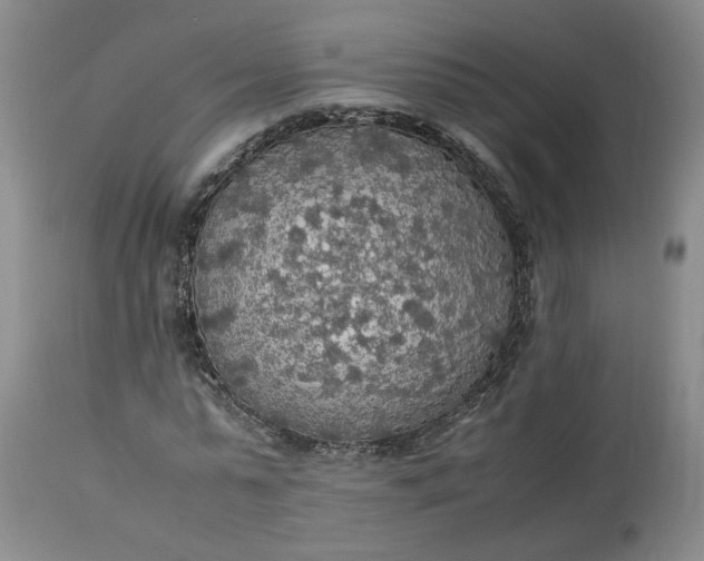 X0000113220775200910011344