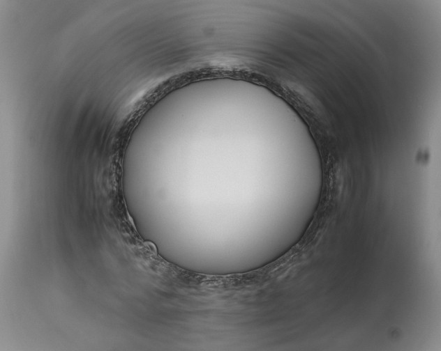 X0000113220776200910011344