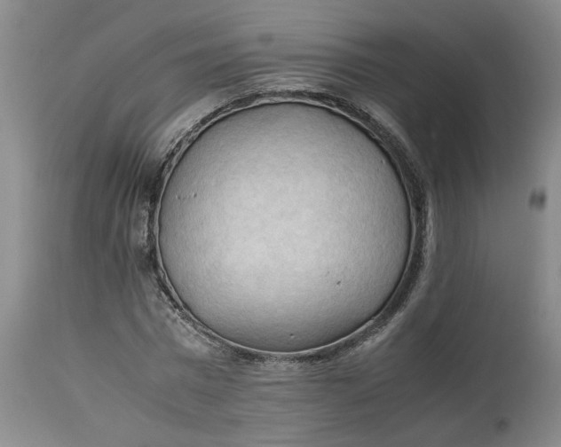 X0000113220777200910011344