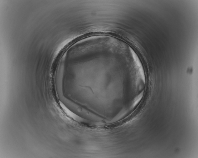 X0000113220779200910011344