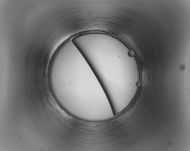 X0000113220780200910011344