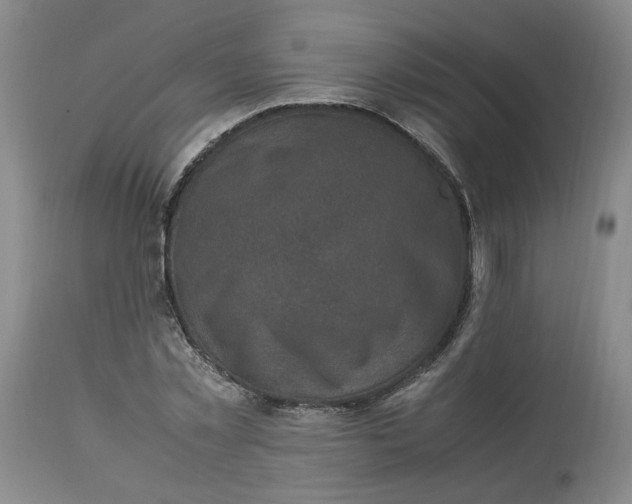 X0000113220781200910011344